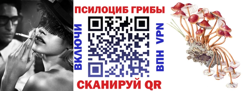 Галлюциногенные грибы мицелий  Купить закладки  Свирск 